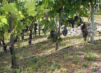 Panoramique Szálloda Torgnon